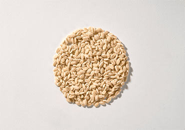 PLA major solution that is self-biodegradable!